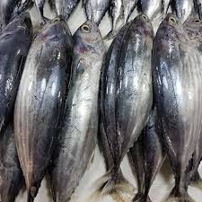 Cakalang